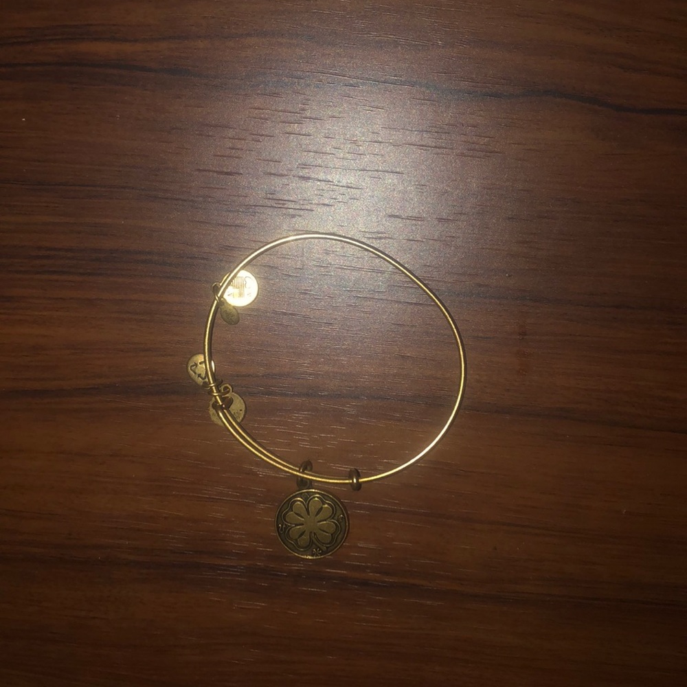 Alex and Ani bracelet, Lucky Charm